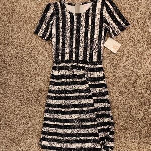 LULAROE Amelia Stylish Black and White Dress